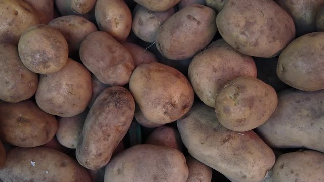 close uf of fresh harvest potatoes