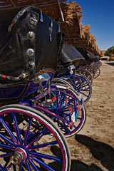 Colorful horse drawn carriages lined up at Temple of Horus at Edfu, Egypt.