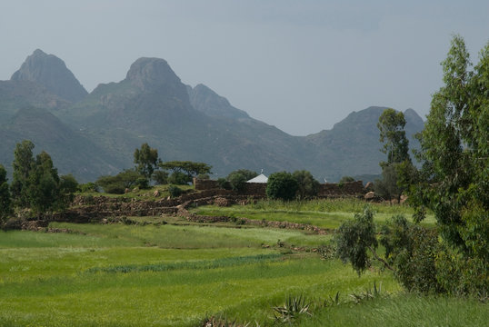 Ethiopia: Tigray Region, Yeha Mountains and valley green with teff