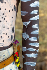 Africa, Ethiopia, Southern Omo, Karo Tribe. Detail of the body decoration on a Karo man.