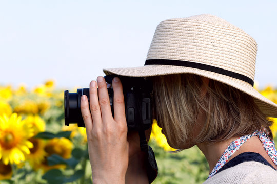 The photographer takes flowers of sunflower in the field. Fragment of a girl in a hat with a camera in profile taking pictures outdoors on a summer day. Side view, close-up, horizontal.