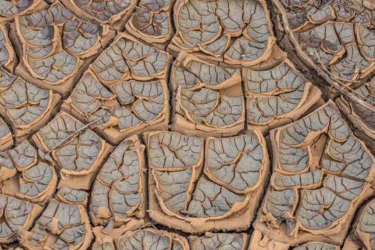 East Africa, Kenya, Nairobi, Langata, Hog Ranch, cracked, dry earth