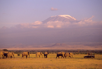 Kenya: Amboseli National Park, elephants and safari vehicle with Mt Kilimanjaro in distance.