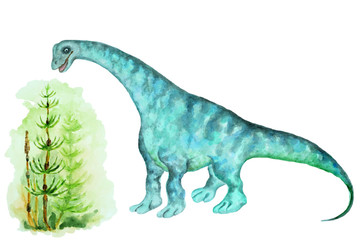 Giant herbivorous dinosaur sauropod and horsetail, hand drawn watercolor.