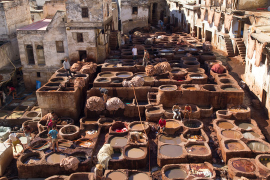 Africa, Morocco, Fes, Fes el-Bali medina, the Chouwara tanneries are Fez medina's most iconic site and tourist stop. Tannery vats hold solution of colorful liquids by which leather is dyed by hand.