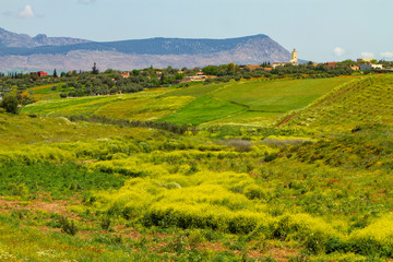 Fez, Morocco. Moroccan landscape