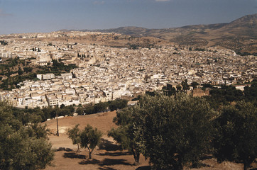 Fototapeta na wymiar Morocco, Fes, Cityscape