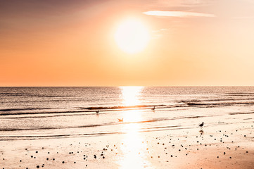 Sunset on the beach. Tinted photo in golden highlights. Sea and sandy beach. Banner, long format....