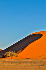 Africa, Namibia, Sossusvlei. Dunes in the afternoon