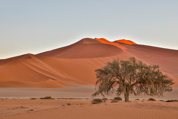 Fototapeta na wymiar Africa, Namibia, Sossusvlei. Dune in the afternoon