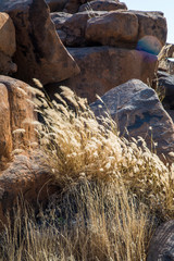 Africa, Namibia, Keetmanshoop, Giants' Playground at the Quiver tree Forest Rest Camp