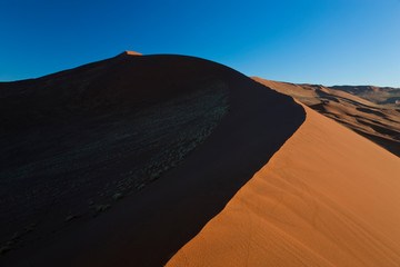 Fototapeta na wymiar Sand dunes, Namib Naukluft National Park, Namibia