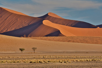 Fototapeta na wymiar Morning light on the sand dunes of Sossusvlei, Namibia