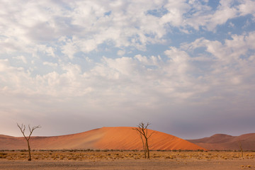 Africa, Namibia, Namib Desert, Namib-Naukluft National Park, Sossusvlei. Wide scenic skies with puffy clouds above the red dunes.