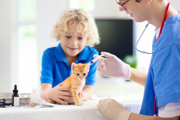 Vet with cat. Kitten at veterinarian doctor.