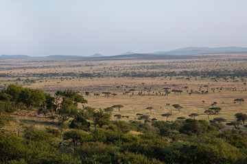 Fototapeta na wymiar Africa, Tanzania, Serengeti. A view of the Serengeti plain from the Serengeti Sopa Lodge.
