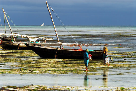 Tanzania, Zanzibar, Nungwi, local women in traditional dress going to fish crabs at low tide on the beach with traditional fisherman's boat on background