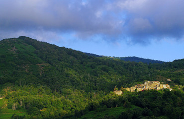 Talasani village and chestnut grove in Corsica mountain 