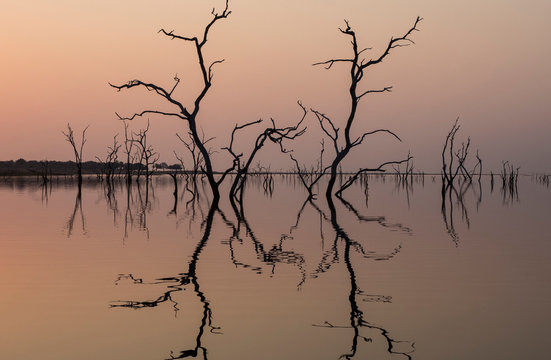 Africa, Zimbabwe, Matusadona National Park. Reflections on Lake Kariba.