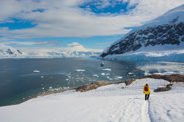 Antarctica. Neko Harbor. Hiker heading towards the penguin colony from the mountain. © Inger Hogstrom/Danita Delimont