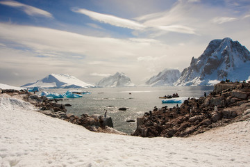 Lemaire Channel, Antarctica. wide shot including tourists kayaking, penguins, and blue-eyed shags.