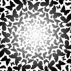 White gradient background with black butterflies silhouette