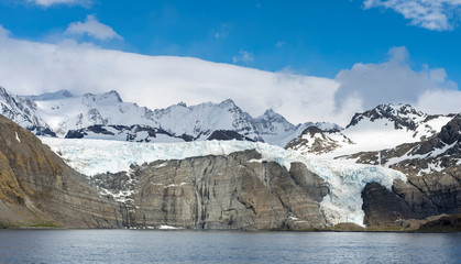 Gold Harbor with mighty Bertrab Glacier on South Georgia.