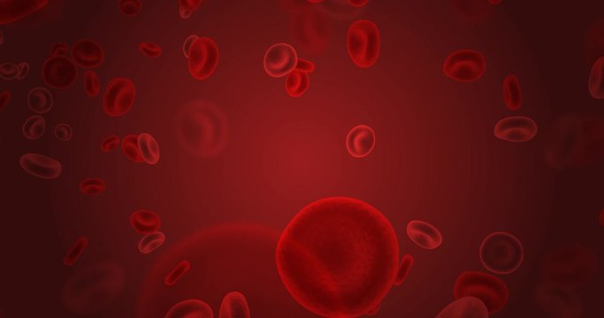 Red Blood Cells Flowing Through Circulatory System