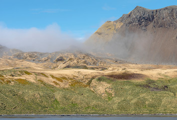 Godthul, anchorage on South Georgia. The remains of a small whaling station is overgrown by dense...