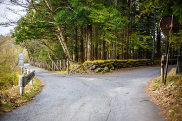 The street in forest in Nikko Japan.