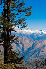 Landscape of the Pele La Pass, Bhutan