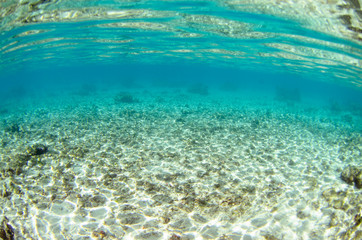 Fototapeta na wymiar Coral reef in the sea of Moorea Island in Tahiti French Polynesia