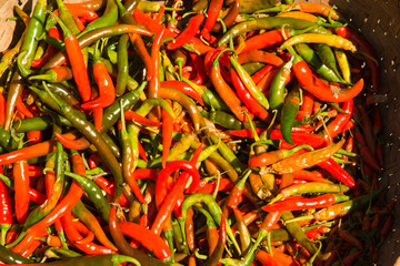 Myanmar. Mt Popa. Red and green chilies.