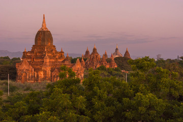 Myanmar. Bagan. Temples of Bagan in the purple pre-dawn light.