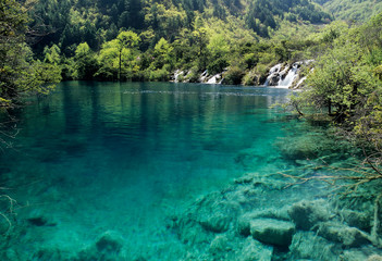Fototapeta na wymiar Asia, China, Sichuan Province, Jiuzhaigou National Scenic Area. Clear torquise water of Shuzheng Lake.
