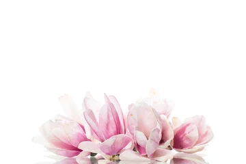 Deurstickers lente mooie bloeiende magnolia op een wit © Peredniankina