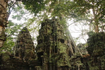 Exploring Angkor