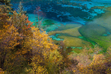 Autumn trees and lake, Jiuzhaigou National Park, Sichuan, China