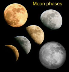 Fasi della Luna © Steve Fossiant
