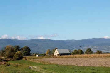Fototapeta na wymiar Georgia, Telavi. Fields in the area outside Telavi.