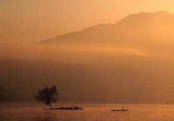 India, Kashmir, Srinagar. Golden sunrise light sifts over Lake Dal, in Srinagar, Kashmir, India.