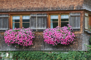 Altes Bauernhaus mit sommerlichem Blumenschmuck im Bregenzerwald, Bauernhaus mit Schindelfassade
