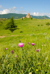 Jvari church on hill top, Mtskheta, Georgia