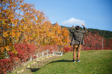 A man hands up and walking up on the slope with red yellow tree in autumn season, taken from Hokkaido Japan. Successfull concepts.