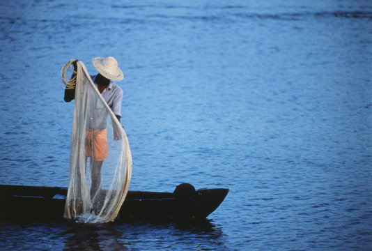 India, Kerala, Kochi, Man fishing in backwater