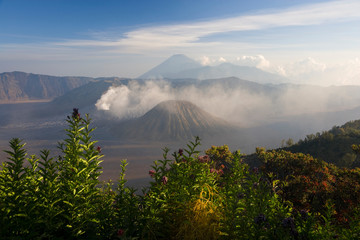 Bromo-Tengger-Semeru National Park, Bromo Volcano, Java, Indonesia