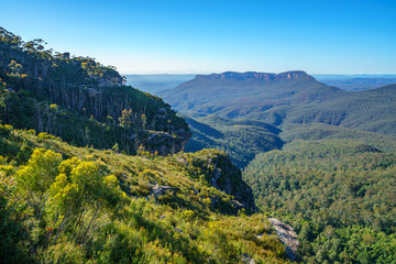 Fototapeta premium cliff view lookout, blue mountains national park, australia 3