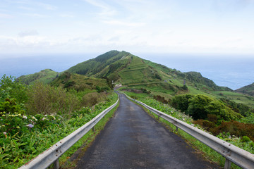 Jungle and street view on Flores, Azores, Portugal, Europe, Atlantic Ocean