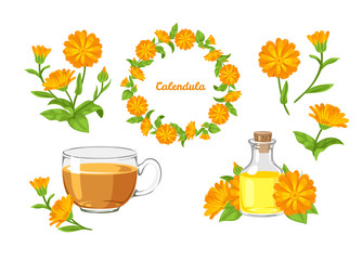 Calendula set. Vector cartoon orange flowers isolated on white background. Marigold flowers wreath, tea, calendula oil and bouquet in cartoon simple flat style. Healing herbs.