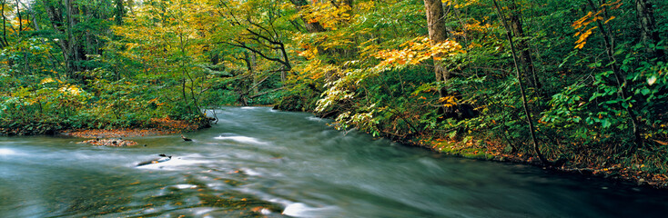 japan, Tohoku Region, Towada-Hachimantai NP. Two small streams merge on the Hachimantai Plateau in...